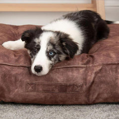 Kensington Mattress Dog Bed - Chocolate | Scruffs