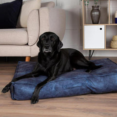 Kensington Mattress Dog Bed - Navy Blue | Scruffs