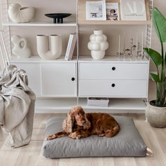 KiiMA Dark Grey Cushion Dog Bed by Labbvenn