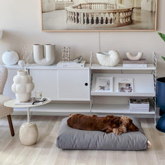 KiiMA Dark Grey Cushion Dog Bed by Labbvenn