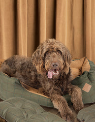 Green Tweed Snuggle Dog Bed by Danish Design