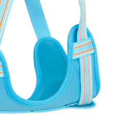 Light Blue Padded Reflective Dog Harness