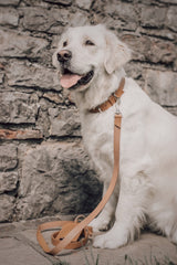Lussa Natural Italian Camel Leather Dog Lead by Labbvenn