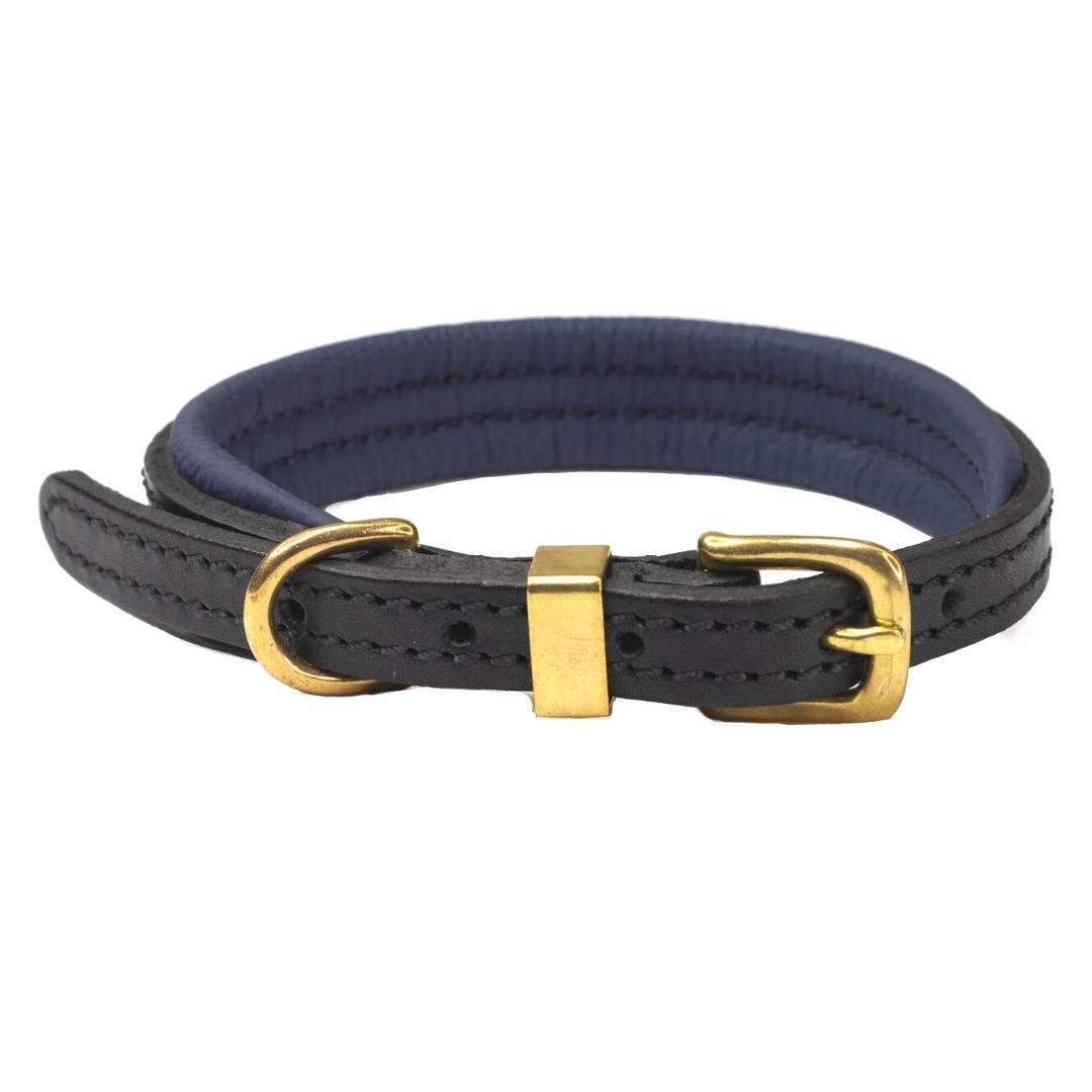 Luxury Black & Navy Padded Leather Dog Collar by Dogs & Horses