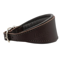 Luxury Brown Leather Hound Collar by Dogs & Horses