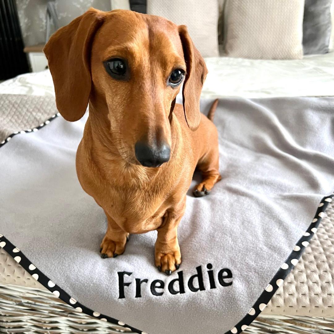 Luxury Personalised Pet Blankets In Silver Grey With Black/Cream Spots