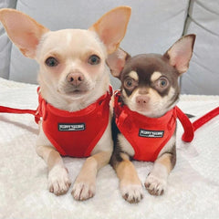 Luxury Red Velvet Dog Harness