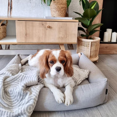 Manno Grey Pet Blanket by Labbvenn