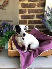 Minkeys Tweed Juno Tweed Dog Blanket