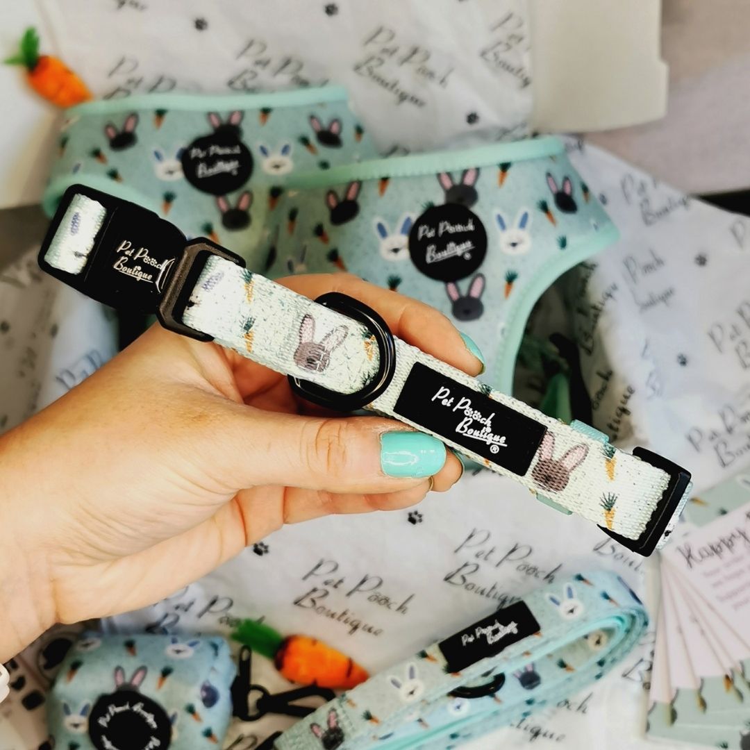 Mint Choc Chip Easter Bunny Dog Collar | Pet Pooch Boutique