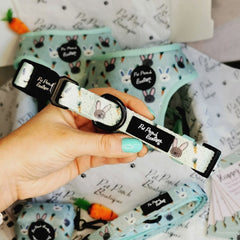 Mint Choc Chip Easter Bunny Dog Collar | Pet Pooch Boutique