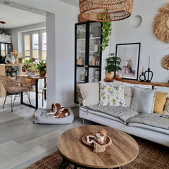 MOE Grey Luxury Dog Bed by Labbvenn