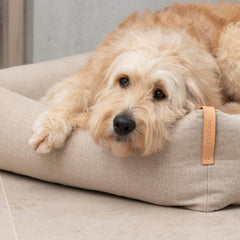 MOE Sand Luxury Dog Bed by Labbvenn