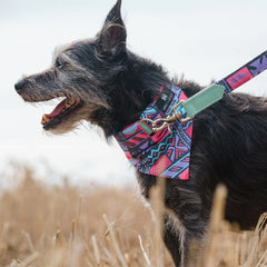 Mud Cloth Dog Bandana by Hiro and Wolf