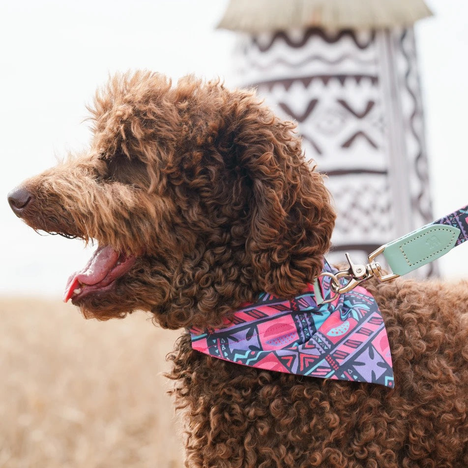 Mud Cloth Dog Bandana by Hiro and Wolf