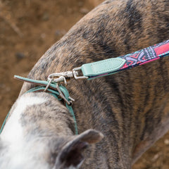 Mud Cloth Hound Collar by Hiro and Wolf