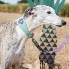 Mud Cloth Hound Collar by Hiro and Wolf