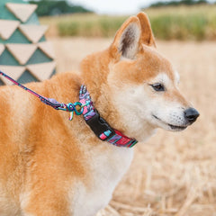 Mud Cloth Vegan Dog Collar by Hiro & Wolf