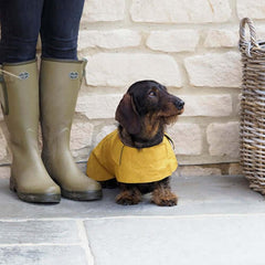 Mustard Waxed Waterproof Dog Coat | Mutts and Hounds