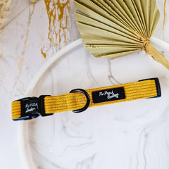 Mustard Yellow Cord Dog Collar