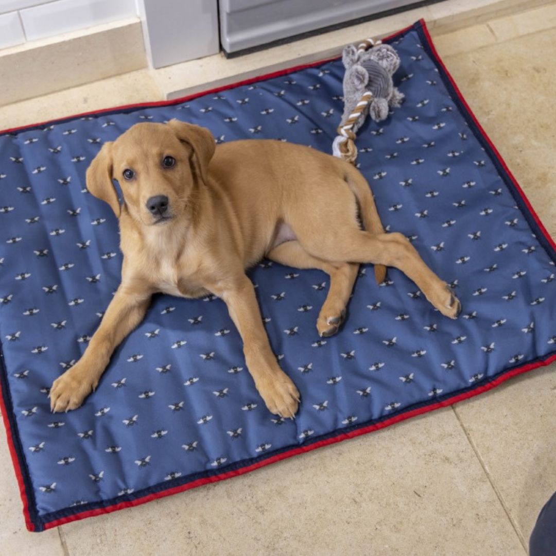 Navy Bee Reversible Water Resistant Boot Mat by House of Paws