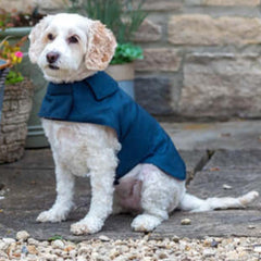 Navy Waxed Waterproof Dog Coat | Mutts and Hounds
