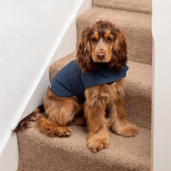 Navy Waxed Waterproof Dog Coat | Mutts and Hounds