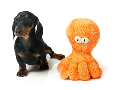 FuzzYard Sir Legs A Lot The Octopus Dog Toy