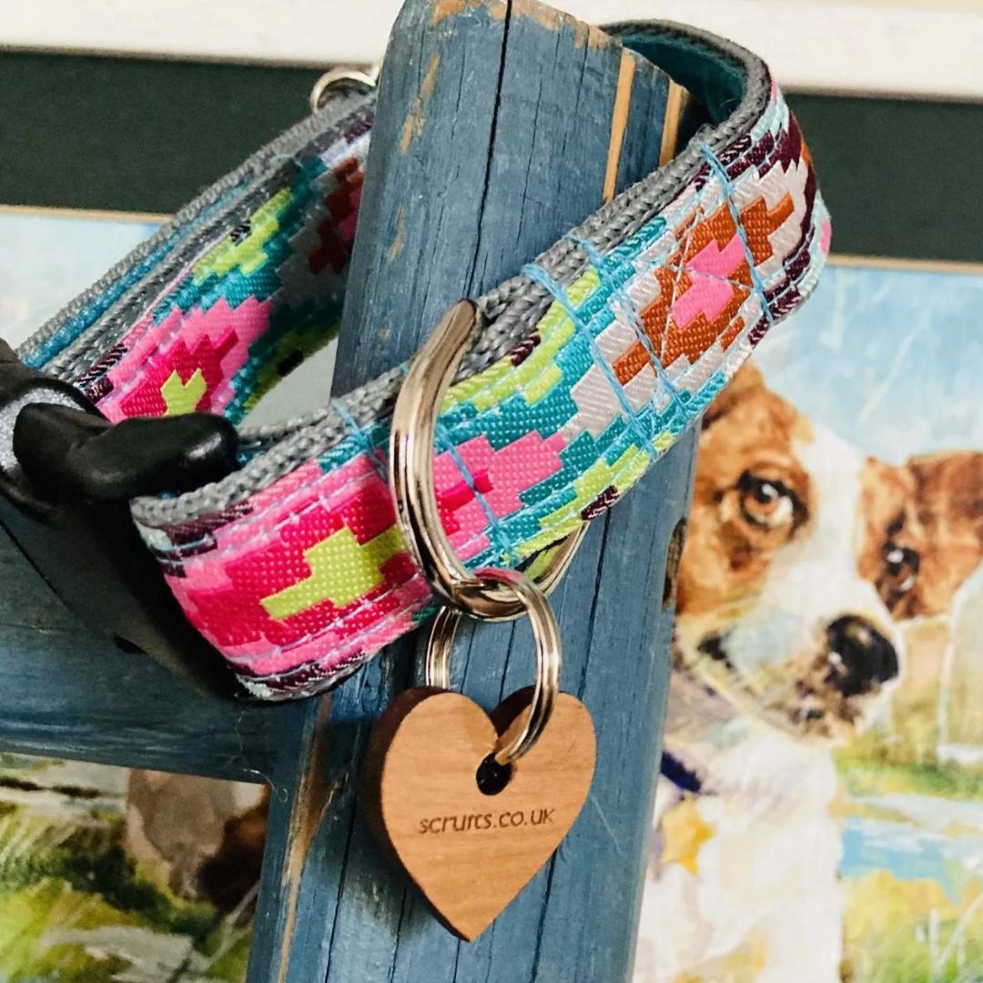 Nevada Designer Dog Collar | Scrufts