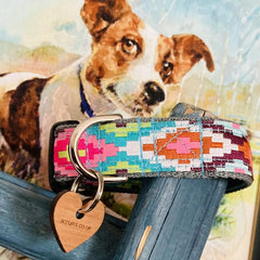 Nevada Designer Dog Collar | Scrufts