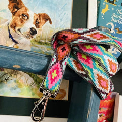 Nevada Designer Dog Collar | Scrufts