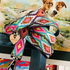 Nevada Designer Dog Collar | Scrufts