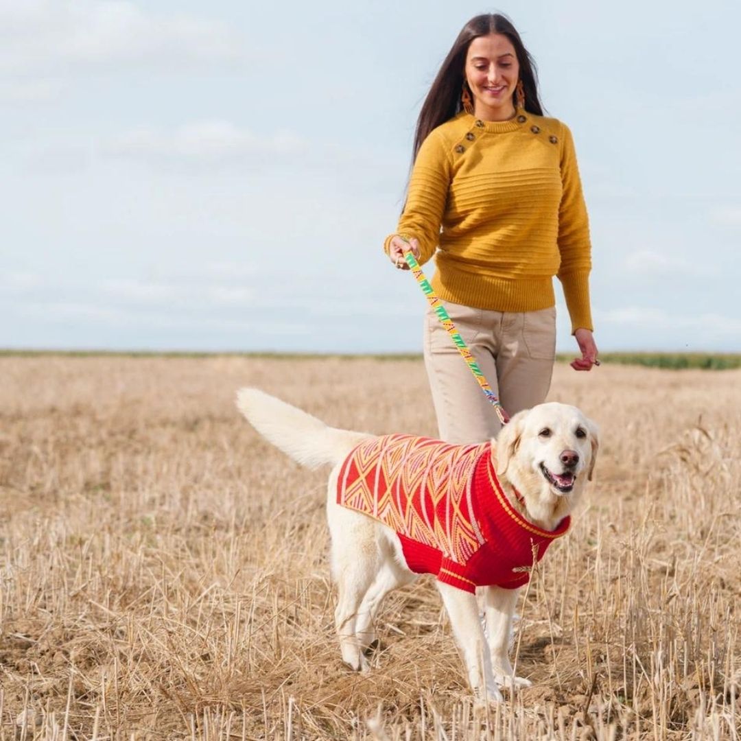 New Horizons Luxury Dog Jumper by Hiro and Wolf