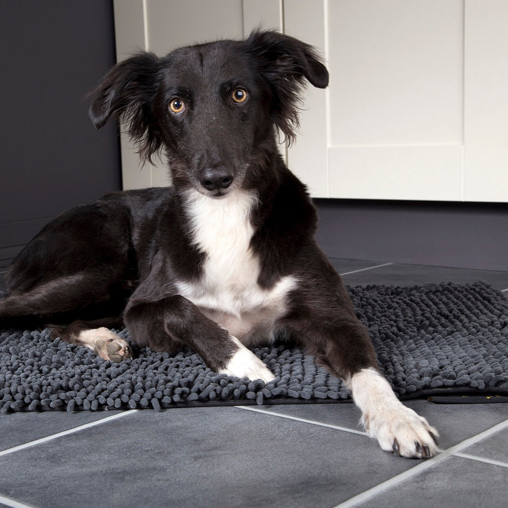 Scruffs Noodle Dry Mat Grey | Absorbent Dog Beds