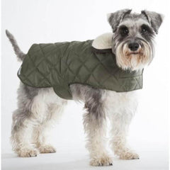 Olive Quilted Waterproof Dog Coat | Mutts and Hounds