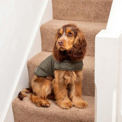 Olive Quilted Waterproof Dog Coat | Mutts and Hounds