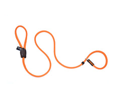 Dogs & Horses Rolled Leather Slip Lead Orange