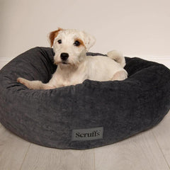 Oslo Ring Donut Dog Bed - Stone Grey