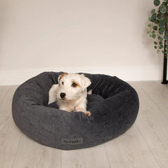 Oslo Ring Donut Dog Bed - Stone Grey