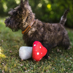 P.L.A.Y Blooming Buddies Mutt Mushroom Dog Toy
