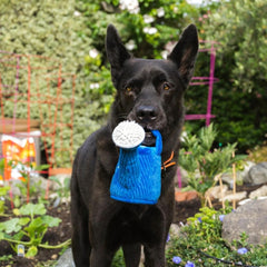 P.L.A.Y Blooming Buddies Wagging Watering Can Dog Toy