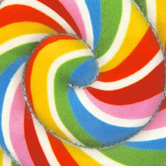 P.L.A.Y Snack Attack Lollipup Dog Toy