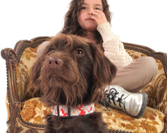 Gypsy Designer Dog Collar and Lead Set by Scrufts