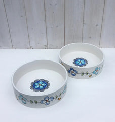 Personalised Dog Bowls With Flowers and Bees