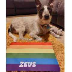 Personalised Pride Design Neoprene Pet Bowl Placemat