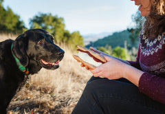 P.L.A.Y Camp Corbin Gimme S'more Dog Toy