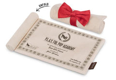 P.L.A.Y Back To School K9 Scholar Hat & Diploma Plush Dog Toy