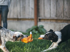 P.L.A.Y Christmas Roast Turkey Plush Dog Toy