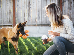 P.L.A.Y Christmas Gingerbread Man Dog Toy