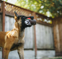 P.L.A.Y Christmas Yule Log Plush Dog Toy